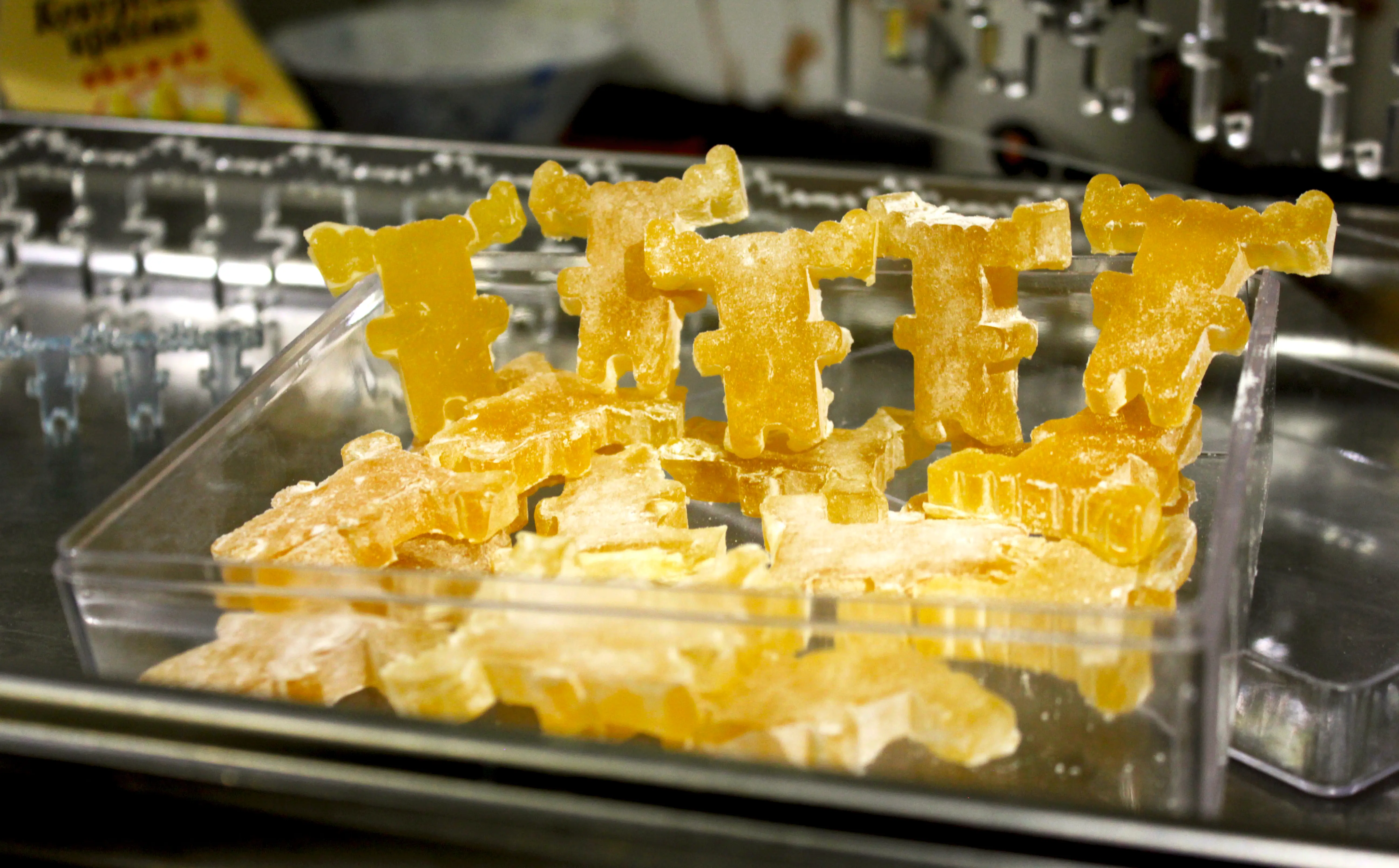 Мармелад в форме лесных зверей — подарок от фабрики Котёл