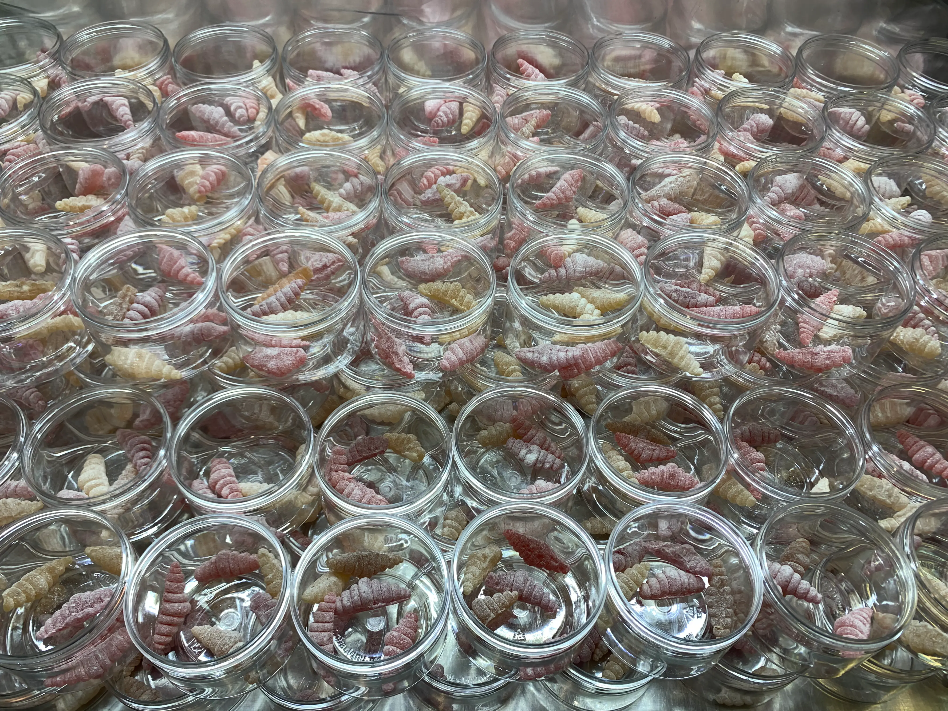 Мармеладные опарыши в прозрачных банках — Котёл для Горький Феста